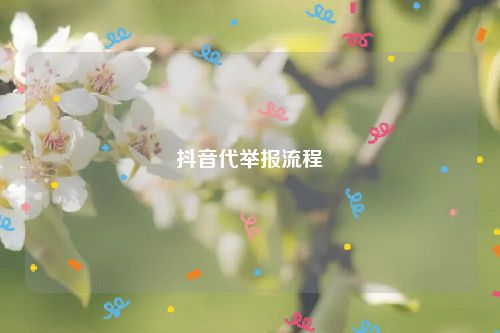 抖音代举报流程