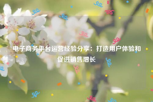 电子商务平台运营经验分享：打造用户体验和促进销售增长