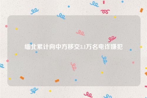 缅北累计向中方移交3.1万名电诈嫌犯