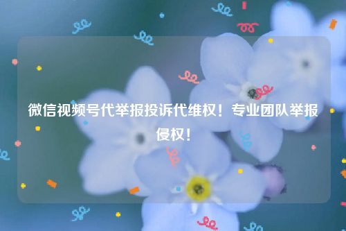 微信视频号代举报投诉代维权！专业团队举报侵权！