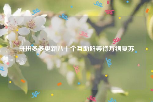 拼拼多多更新八十个互助群等待万物复苏