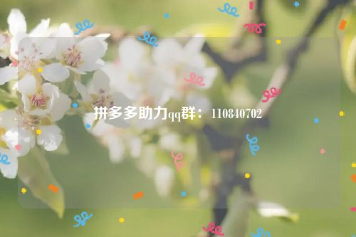 拼多多助力qq群：110840702