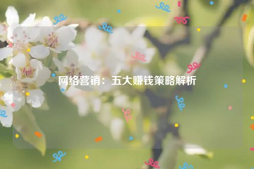 网络营销：五大赚钱策略解析