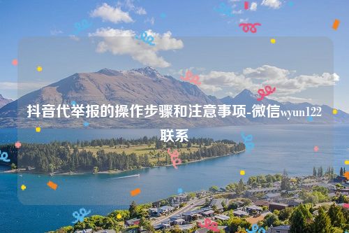 抖音代举报的操作步骤和注意事项-微信wyun122联系