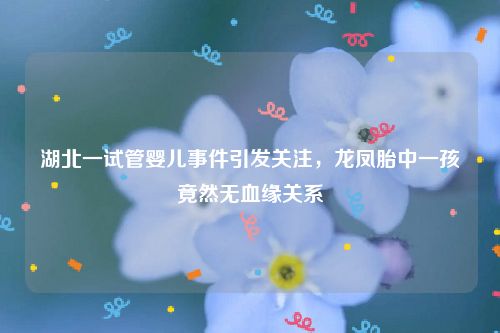 湖北一试管婴儿事件引发关注，龙凤胎中一孩竟然无血缘关系
