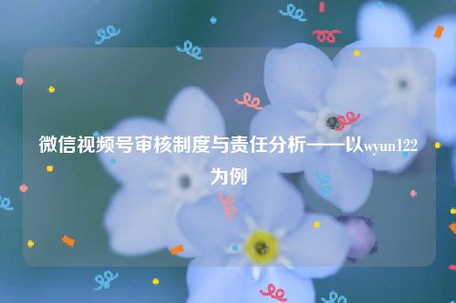 微信视频号审核制度与责任分析——以wyun122为例