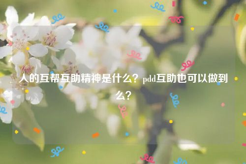 人的互帮互助精神是什么？pdd互助也可以做到么？